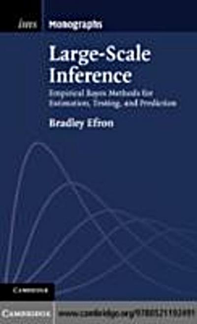 Large-Scale Inference