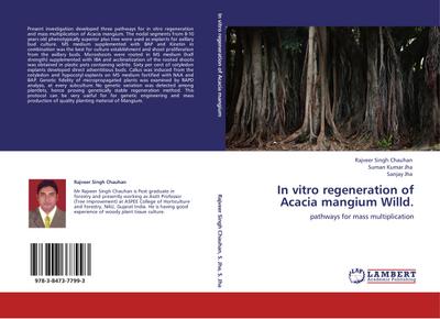 In vitro regeneration of Acacia mangium Willd.