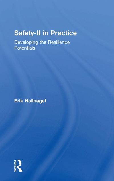 Safety-II in Practice