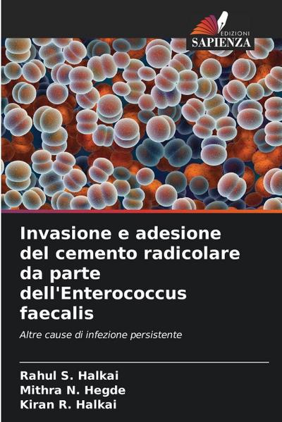 Invasione e adesione del cemento radicolare da parte dell’Enterococcus faecalis