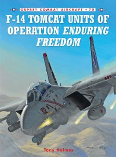F-14 Tomcat Units of Operation Enduring Freedom