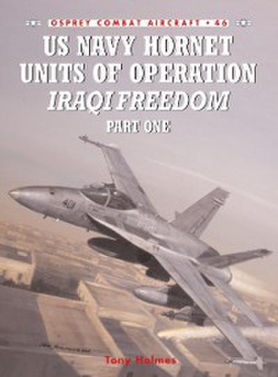 US Navy Hornet Units of Operation Iraqi Freedom (Part One)