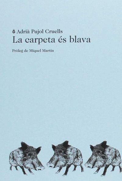 La carpeta és blava