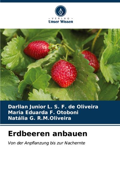 Erdbeeren anbauen