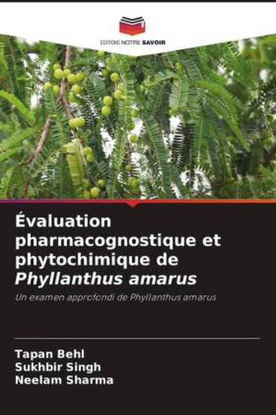 Évaluation pharmacognostique et phytochimique de Phyllanthus amarus