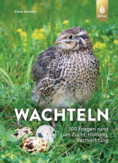 Wachteln