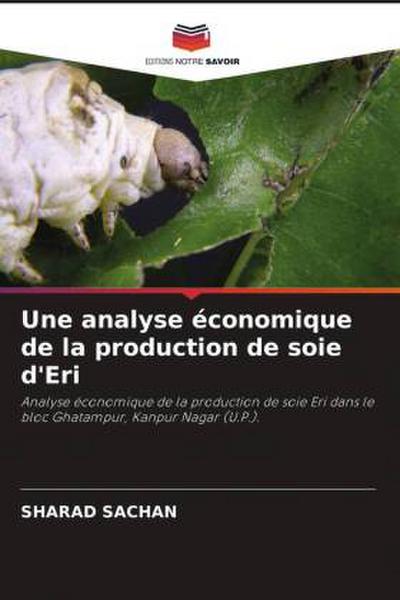 Une analyse économique de la production de soie d’Eri