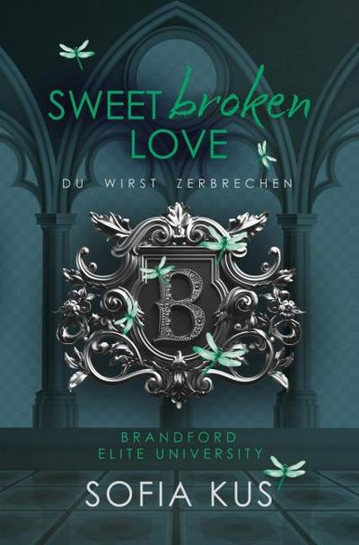 Sweet broken Love