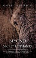Beyond the Secret Elephants