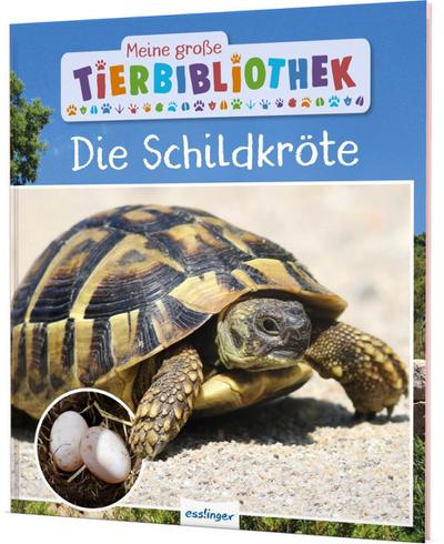 Meine große Tierbibliothek: Die Schildkröte