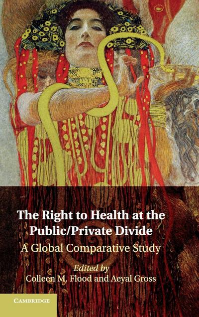 The Right to Health at the Public/Private             Divide