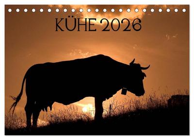 Kühe 2026 (Tischkalender 2026 DIN A5 quer), CALVENDO Monatskalender