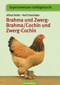 Brahma und Zwerg-Brahma, Cochin und Zwerg-Cochin (Expertenwissen Geflügelzucht)