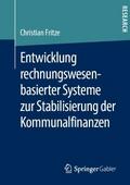 Entwicklung rechnungswesenbasierter Systeme zur St