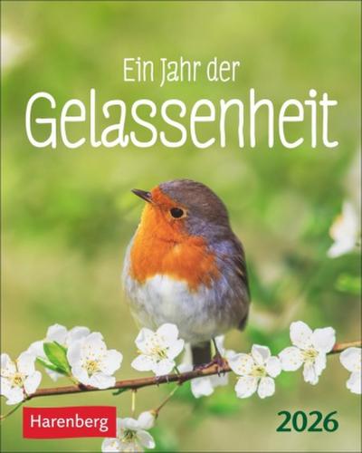 Ein Jahr der Gelassenheit Mini-Geschenkkalender 2026