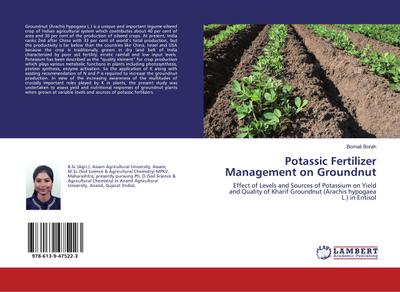 Potassic Fertilizer Management on Groundnut