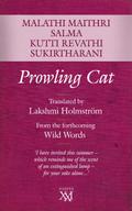 Prowling Cat