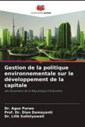 Gestion de la politique environnementale sur le développement de la capitale