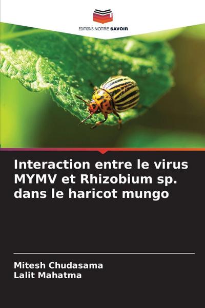 Interaction entre le virus MYMV et Rhizobium sp. dans le haricot mungo