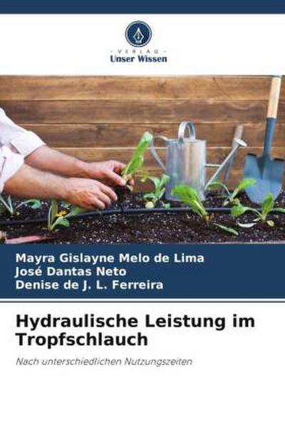 Hydraulische Leistung im Tropfschlauch