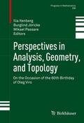 Perspectives in Analysis, Geometry and Topology