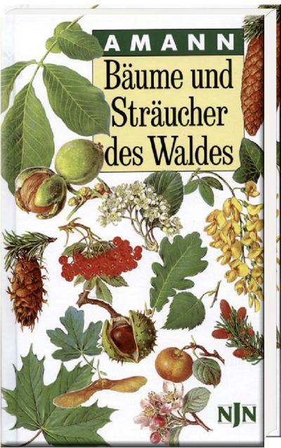 Bäume und Sträucher des Waldes