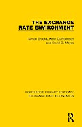 The Exchange Rate Environment