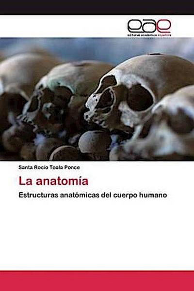La anatomía