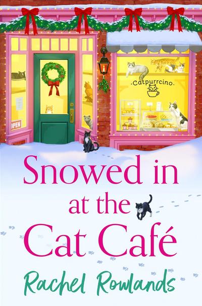 Snowed in at the Cat Cafe