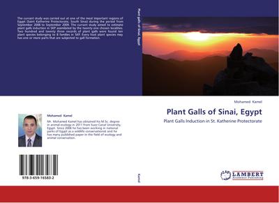 Plant Galls of Sinai, Egypt