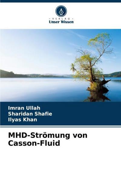 MHD-Strömung von Casson-Fluid