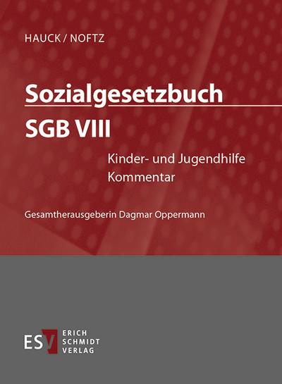 Sozialgesetzbuch (SGB) VIII: Kinder- und Jugendhilfe - Einzelbezug