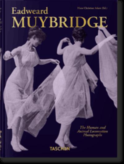 Muybridge