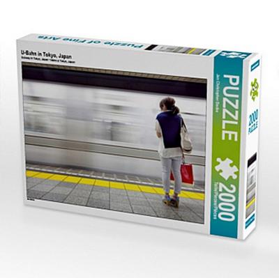 U-Bahn in Tokyo, Japan (Puzzle)
