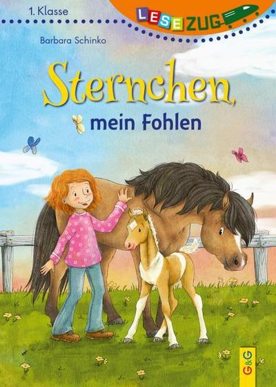 Sternchen, mein Fohlen