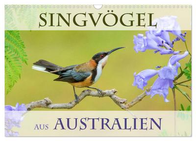 Singvögel aus Australien (Wandkalender 2026 DIN A3 quer), CALVENDO Monatskalender