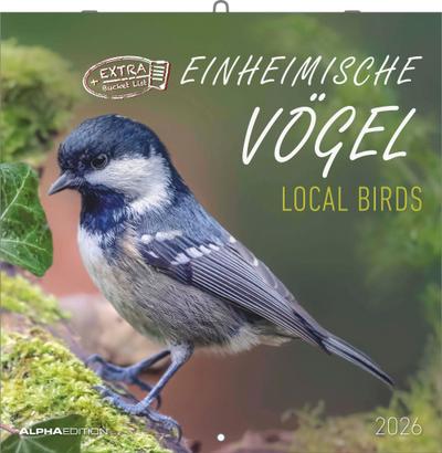 Alpha Edition - Einheimische Vögel Kalender 2026 - Wandkalender 30×30 cm (30×60 geöffnet) mit Vogelmotiven & Platz für Notizen, Broschürenkalender mit Ferienterminen, Bildkalender für Vogelliebhaber