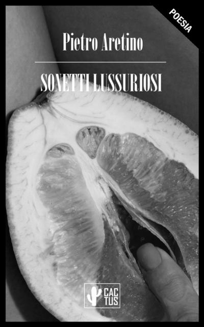 Sonetti lussuriosi