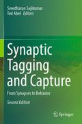 Synaptic Tagging and Capture