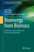 Bioenergy from Biomass