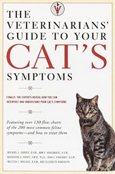 Veterinarians’ Guide to Your Cat’s Symptoms