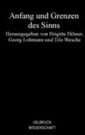 Anfang und Grenzen des Sinns