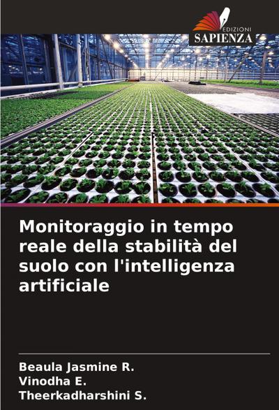 Monitoraggio in tempo reale della stabilità del suolo con l’intelligenza artificiale