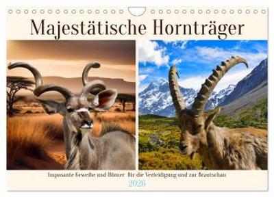 Majestätische Hornträger (Wandkalender 2026 DIN A4 quer), CALVENDO Monatskalender