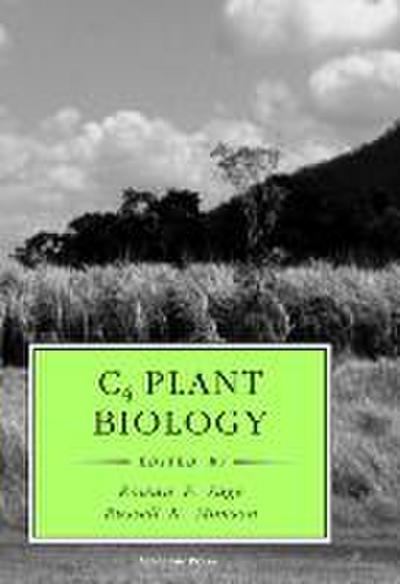 C4 Plant Biology