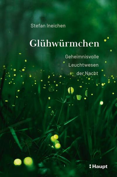 Glühwürmchen