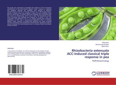 Rhizobacteria extenuate ACC-induced classical triple response in pea