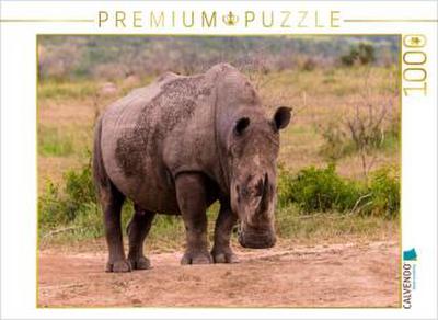 CALVENDO Puzzle Was guckst du. Bei noch mehr Nähe, Rückwärtsgang! Aber nicht für mich! | 1000 Teile Lege-Größe 64x48cm Foto-Puzzle für glückliche Stunden