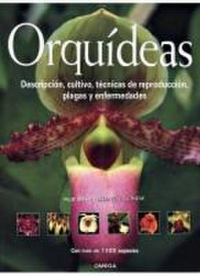Orquídeas