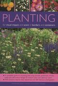 Planting for Visual Impact and Scent in Borders and Containe